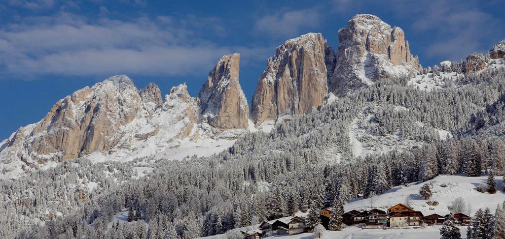 Appartamenti Ladina Campitello di Fassa Bagian luar foto